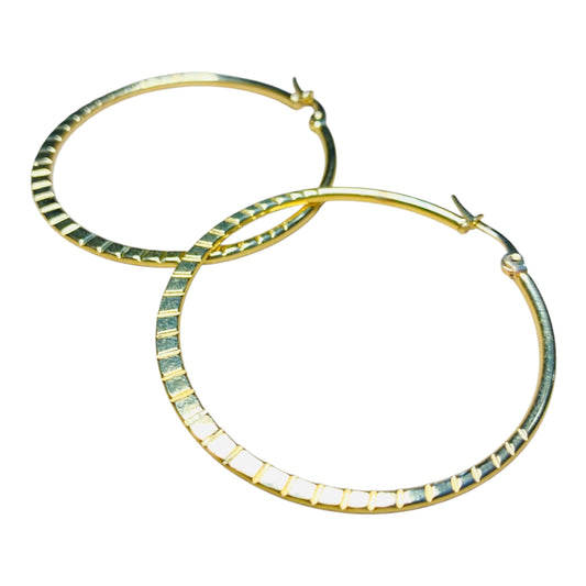 Gold Stainless Steel Hoop Earrings